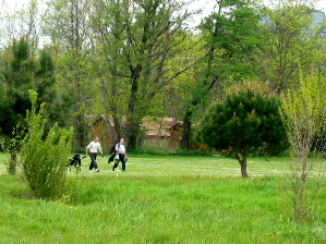 golf 046